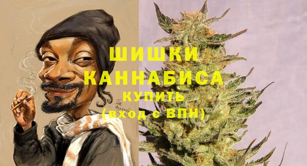 дживик Горняк