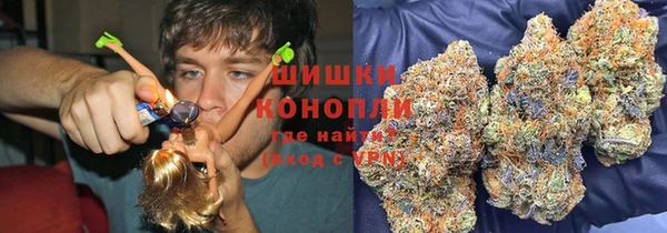 дживик Горняк