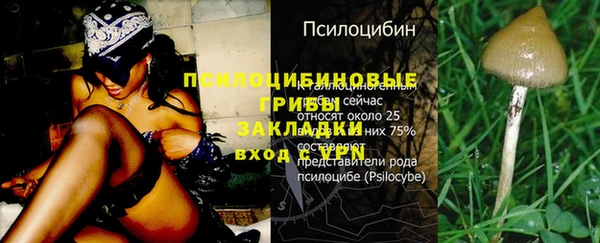 дживик Горнозаводск