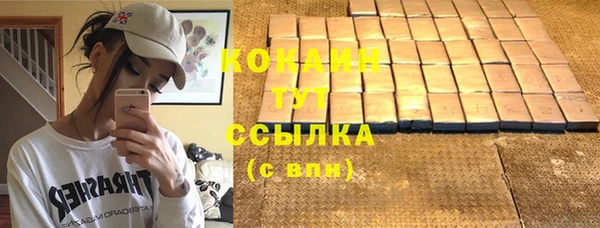 дживик Горнозаводск