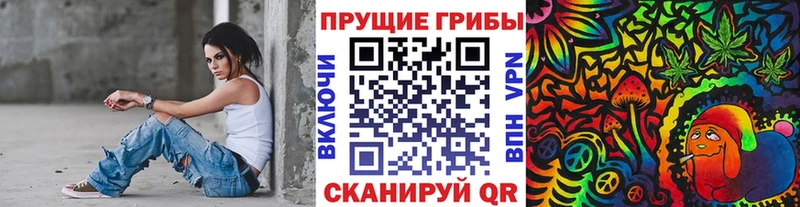 Купить закладки  Миньяр  Псилоцибиновые грибы Cubensis 
